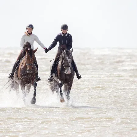 Strandmatte Apartamento Böhl
