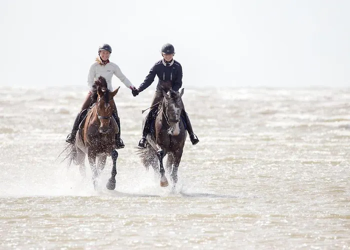 Strandmatte Apartamento Böhl